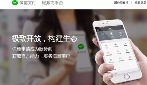 江蘇中理網絡科技 服務商定位、準入路徑與網絡技術服務解析
